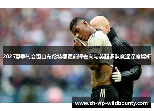 2025夏季转会窗口布伦特福德前锋去向与英超多队竞逐深度解析 2025夏季转会窗口布伦特福德前锋去向与英超多队竞逐深度解析
